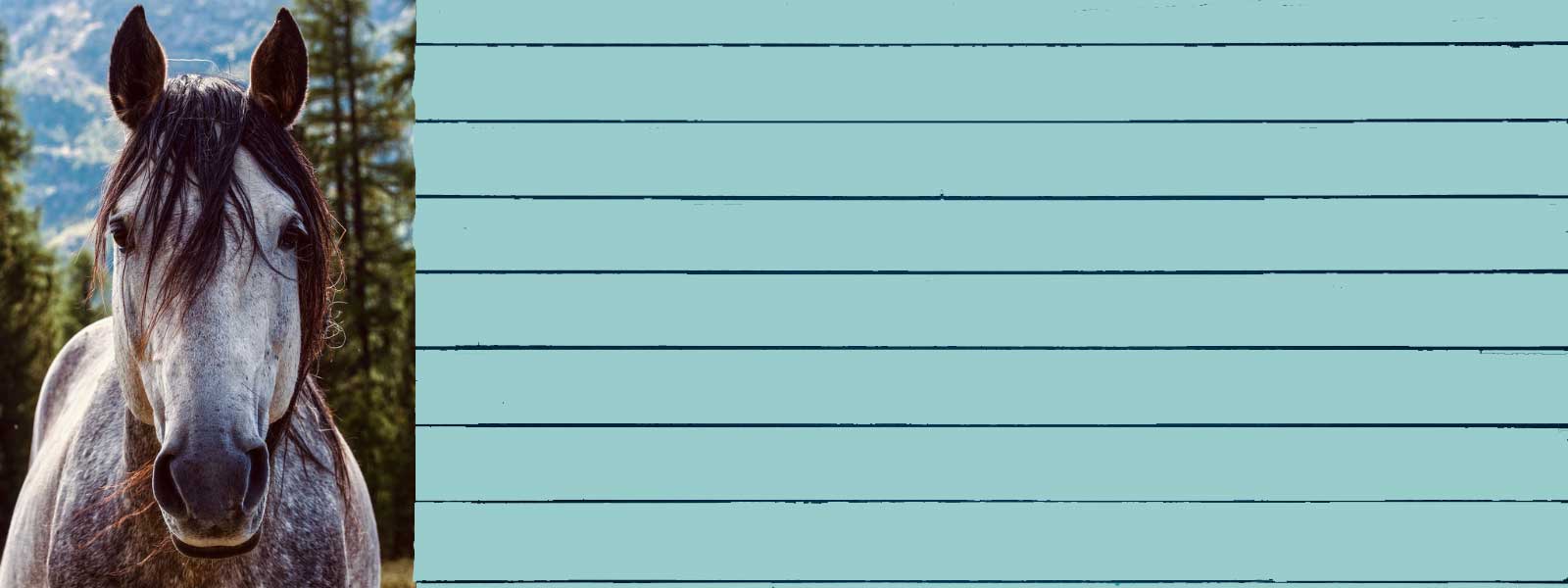 CBD Öle für Pferde